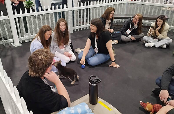 ドッグパークで仔犬と戯れる参加者たち。女性参加者に大人気