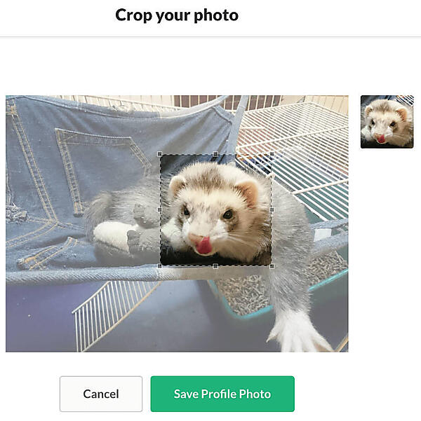 プロフィール画像を指定