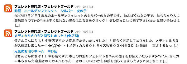 RSSフィードからの通知