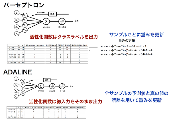 図2-1：パーセプトロンと ADALINE の相違点