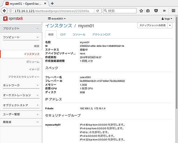 インスタンスの概要を表示