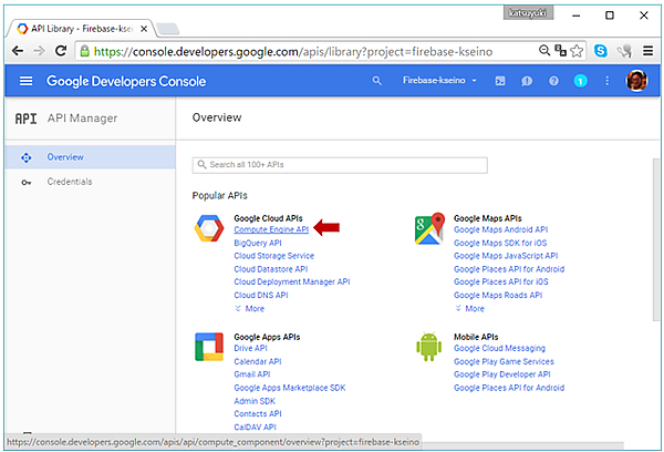 API ManagerのOverview画面