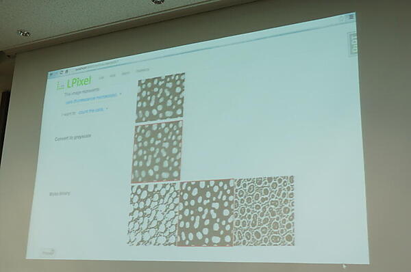 LPixelのサービス。画像をアップロードして解析目的を選択するだけで解析結果が得られる