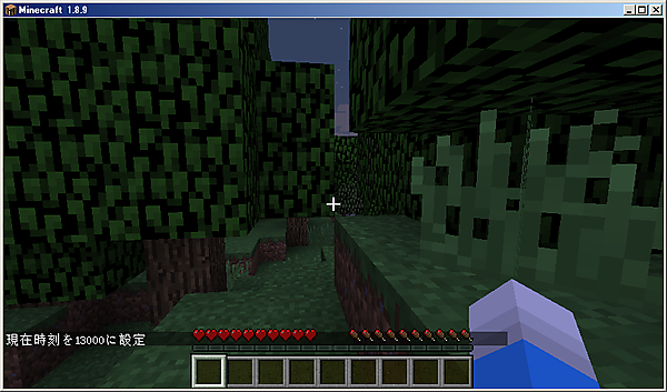 dayやnight、数値などでゲーム内時間設定ができる