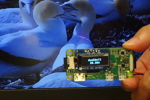 カメラに写っているものをRaspberry Pi Zeroで認識