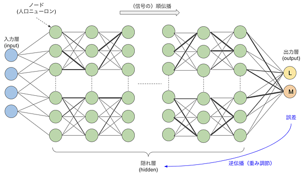 ニューラルネットワークの構造