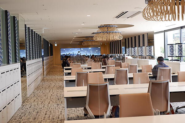 たっぷりと陽が入り込む開放的なオフィス。写真右側、ガラス戸の奥にはテラス席がある