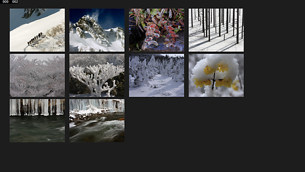 図3　画像がGridViewに表示された