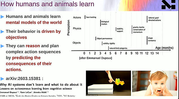 人間と動物が学ぶ仕組みを解説